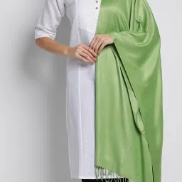 Solid Viscose Women Light Green Stole-image-29
