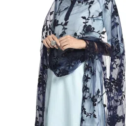 Net Embroidered Blue Women Dupatta-picture-2