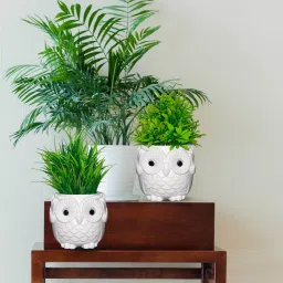 2~Owl Pot With Artificial Plant & Home Decoration items/Home Décor, Office Décor Bonsai Wild Artificial Plant with Pot-image-79