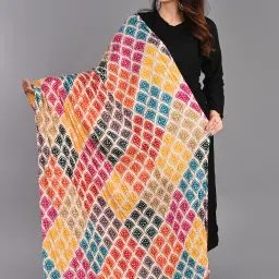 Chiffon Printed Multicolor Women Dupatta-picture-18
