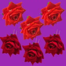 LYF5STAR Set of 6 Floral U Pins-picture-29