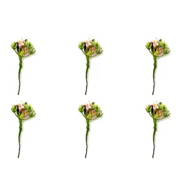 Hair Flare Set of 6 Floral Design Embellished Hair Accessory Set-picture-39
