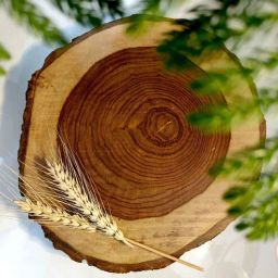 akira Rustic Wood Trivet Uniquely Grained for Timeless Elegance-picture-15
