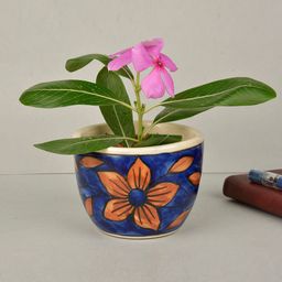 StyleMyWay Blue & Brown Hand Painted Ceramic Planter With Tray-45