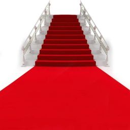 Red Nylon Carpet-image-5