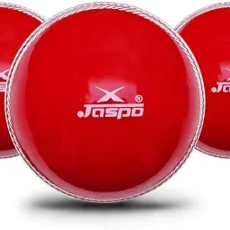T-20 Cricket Ball Soft Cricket Training Ball-picture-11
