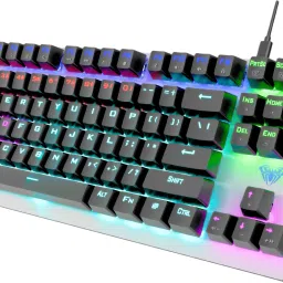 Aula F2067 TKL 100% Anti ghosting Mechanical Gaming Keyboard with 87 keys| Wired USB Tenkeyless Gaming Keyboard Compatible with Desktop, Laptop, Mac with gaming mode ,stand support,multimedia_keys,F2067-12