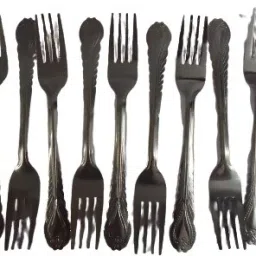 Stainless Steel 12 Pieces Dinner Fork Set for Home/Kitchen Steel Roast Fork, Baby Fork, Dessert Fork, Salad Fork, Dinner Fork, Serving Fork, Fruit Fork Set-2