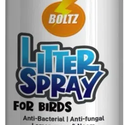 Lemon Deodorizer-image-13