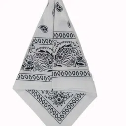 Baby Boys, Baby Girls, Boys, Girls, Men, Women Printed Bandana-image-59
