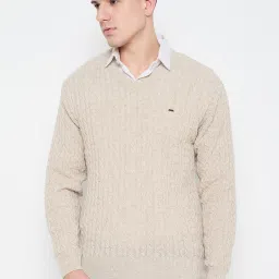 Men Self Design V Neck Brown Sweater-image-32