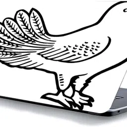 qth LINE ART LAP-1163 VINYL Reusable Laptop Skin Compatible for 15.6 inch-image-49