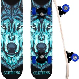 Skateboard Complete Learning and Balance, for Both Young Boys and Girls 5.5 inch x 22.8 inch Skateboard-picture-11