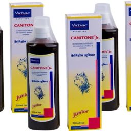 CANITONE® Jr. growth-enhancing supplement for young ones For Dogs (Pack of 3,250 ML) Pet Health Supplements-image-54