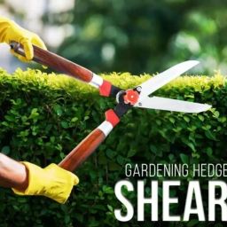 Hedge shear, Garden tools, Gardening tools, Garden scissor, Cutting tools Scissor, plant cutting tools, grass shear with sturdy handle Hedge Shear-19