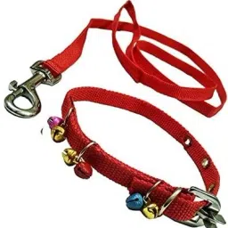 Dog & Cat Collar & Leash-2