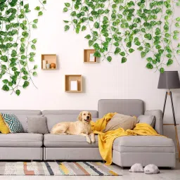 8Ft Set of 12 Artificial Money plant Vine For|Home|Garden|Office|Decoration Green Wild Flower Artificial Flower-image-2
