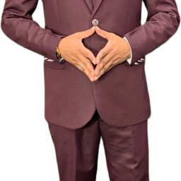 Men Single Breasted Solid Suit-image-6