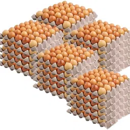 dsom Egg holder Egg Holder-picture-47
