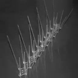 greengrow Bird Spike image 2