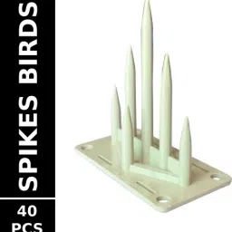 Bird Spike-13