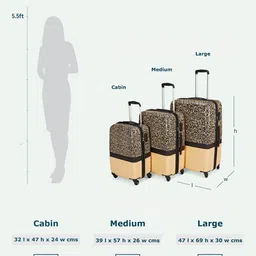 ZOUK  Raahi Printed Cabin Hard Sided Trolley Bag image 2