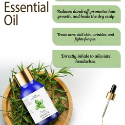 SAGE APOTHECARY Basil Essential Oil - 10ml image 4