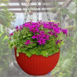 Kuber Industries Set Of 5 Red Plastic Hanging Flower Pot-21