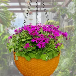 Kuber Industries Set Of 7 Yellow Plastic Hanging Flower Pot-48