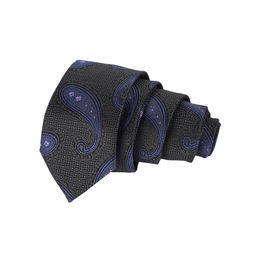 Alvaro Castagnino Men Black & Blue Woven Design Skinny Tie-picture-41