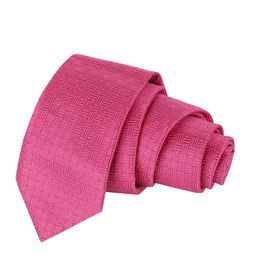 Alvaro Castagnino Men Pink Woven Design Skinny Tie-image-58