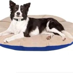 Simple Rounded Pillow/ Gaddi/ Takiya For Dog And Cat S Pet Bed-image-73