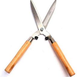 Hedge Hedge Shear-picture-28