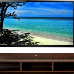 Meritus-L Engineered Wood TV Entertainment Unit-0