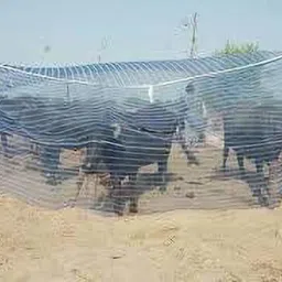 buyagain Polyester Infants Washable Mosquito Net HDPE Animal Mosquito Nets for Cow/Buffalo (Multicolour, 10x10x10 ft Mosquito Net image 2