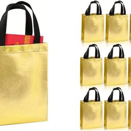 Solid Party Bag-25