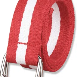 zoro Men Casual, Party, Formal, Evening Multicolor Canvas Belt-picture-17