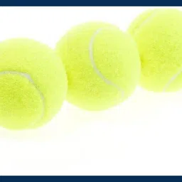 New-Tennis ball _112Pack of 6 Tennis Ball-picture-45