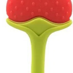 BPA Free Strawberry Shape Food Nibbler/Feeder/Silicon Dental Care Teether or Fruit Teether Age 6 - 12 months Teether (Red Teether-22
