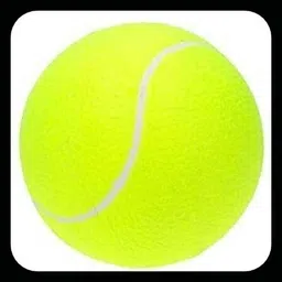 jai shri New-Tennis _179Pack of 6 Tennis Ball-picture-36