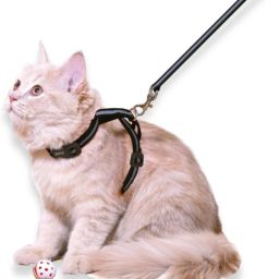 Reflective cat harness with leash set for walking escape prove Cat Collar & Leash-image-34