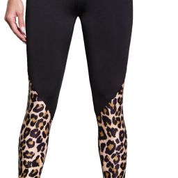 Animal Print Women Black Tights-image-19