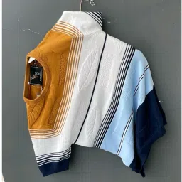 Men Striped Round Neck Reversible Wool Blend Multicolor T-Shirt-image-37