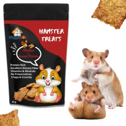 Chicken & Sweet Potato Hamster Treat, Protein Rich, Crunchy Healthy Snacks Chicken, Sweet Potato Hamster Treat-11
