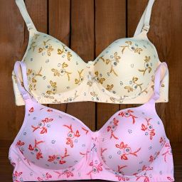 Pack of 2 Women Push-up Lightly Padded Bra-image-73