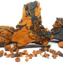 Natural Volcanic Rock (3kg) for Aquarium Decoration, Aquascaping, Terrarium Decoration, Planted Tanks, Reef Tank Setup, etc. Aragonite Planted Substrate-21
