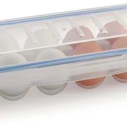 Plastic Egg Container- 1 dozen-0