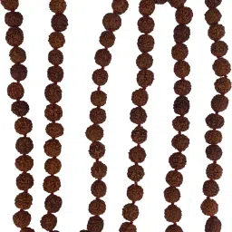 mahant ji 100% Natural & Original 108 + 1 Medium Size Beads 5 Mukhi Rudraksha Mala With Lab Tested With Certificate, Gangajal And Chandan From Kashi Beads Wood Chain image 2