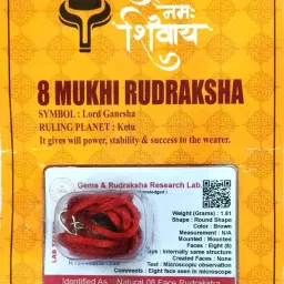 8 Mukhi Nepali Rudraksha Original Certified Eight Face Rudraksha Beads Pendant Wood Locket-image-9