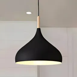 9 BLK Ceiling Light Ceiling Lamp-12